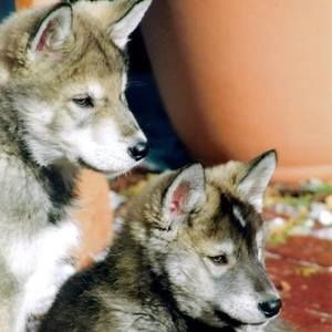 Meet your Posher, Lorie